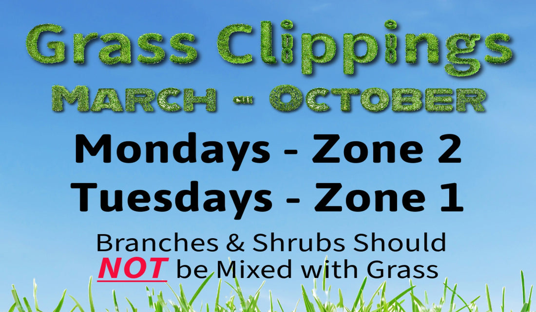 Grass Clippings 2025