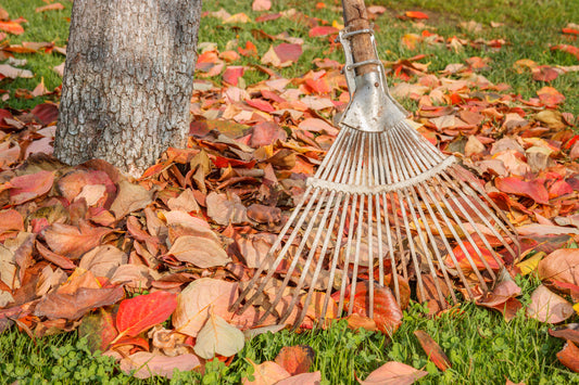 Leaf Pickup Season