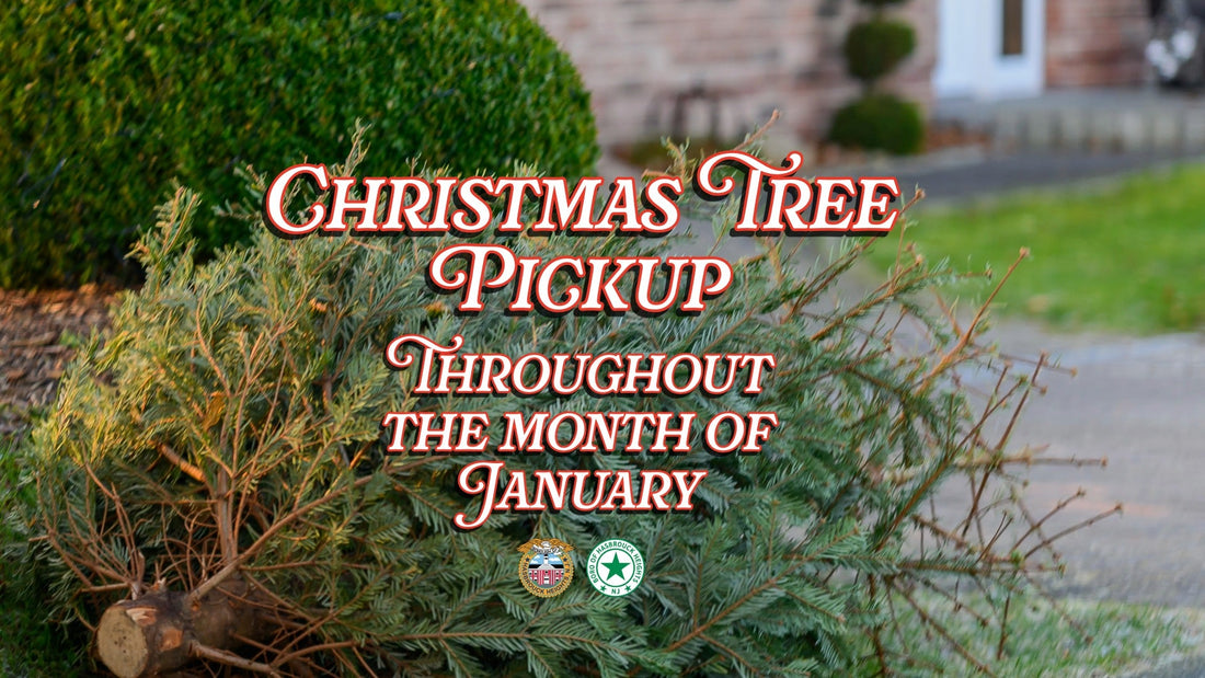 Christmas Tree Pickup - January